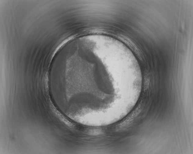 X0000110710798200907241145