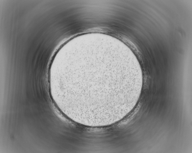 X0000110710800200907241144
