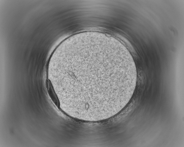 X0000110710804200907241144