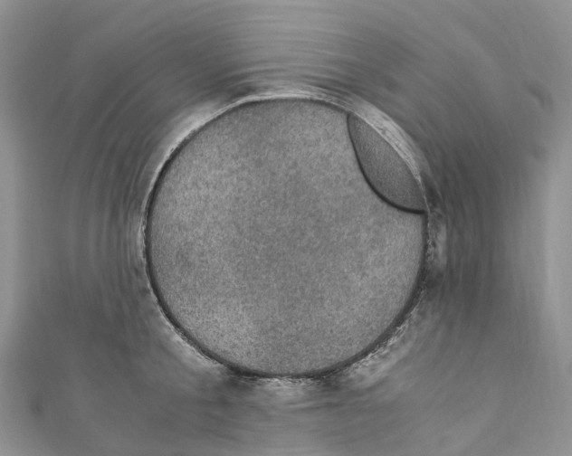 X0000110710805200907241144