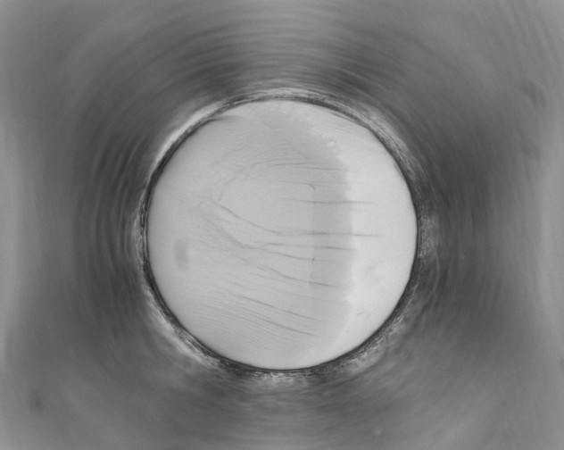 X0000110710806200907241144