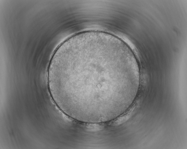 X0000110710807200907241144