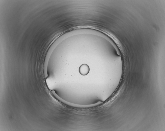 X0000110710809200907241144