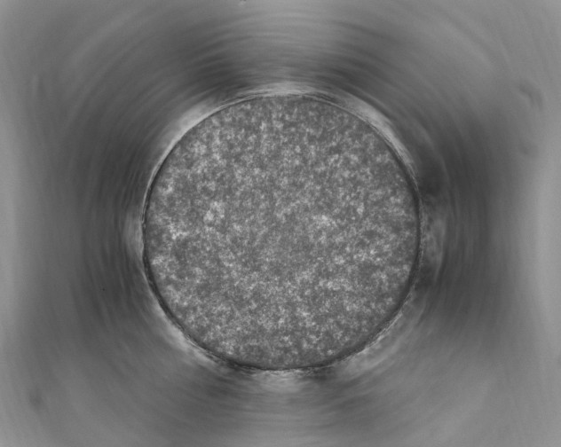 X0000110710810200907241144