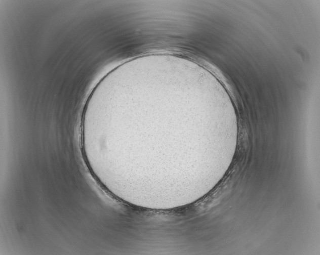 X0000110710811200907241144