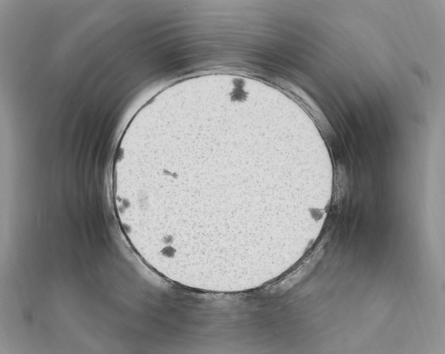 X0000110710812200907241144