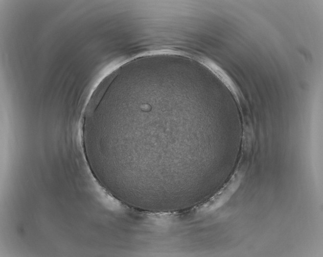 X0000110710813200907241144
