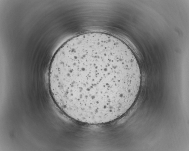 X0000110710814200907241144