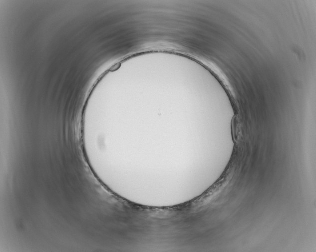 X0000110710815200907241144