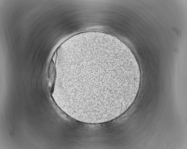 X0000110710816200907241144