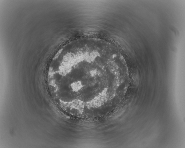 X0000110710817200907241144