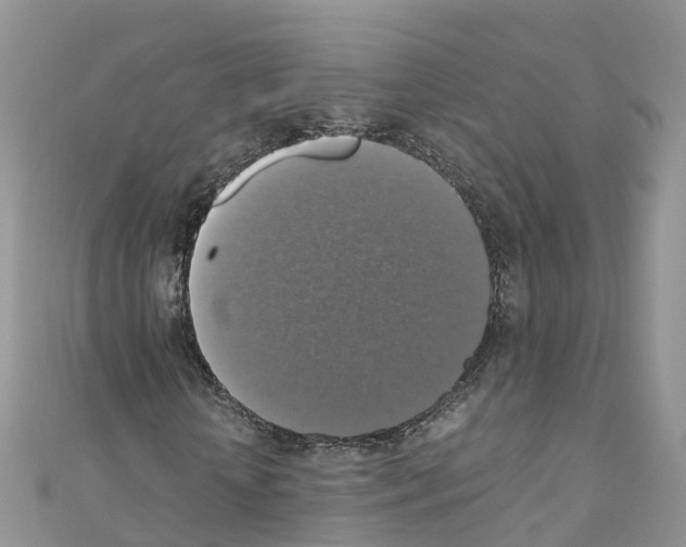 X0000110710818200907241144