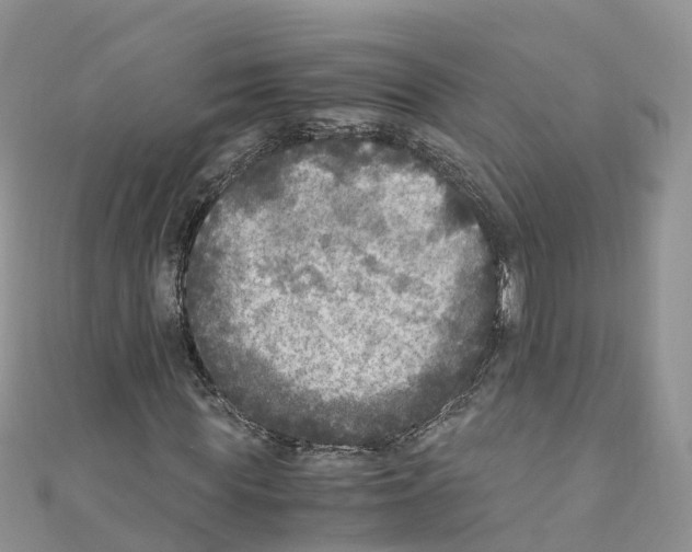 X0000110710819200907241144