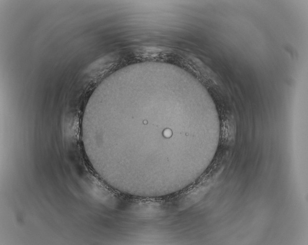 X0000110710820200907241144