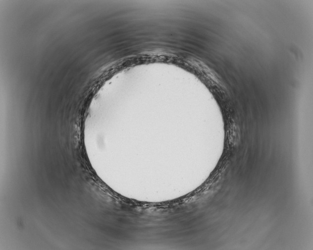 X0000110710821200907241144
