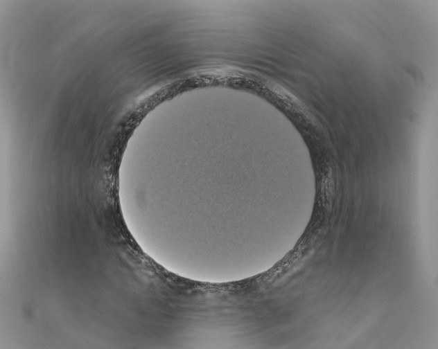 X0000110710822200907241144
