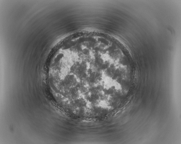 X0000110710823200907241144