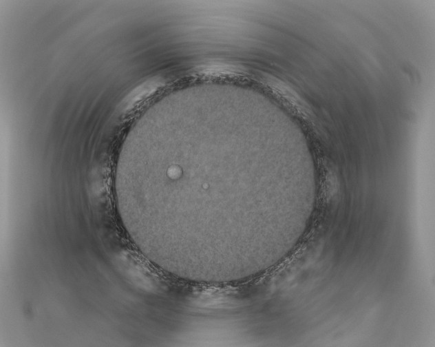 X0000110710824200907241144