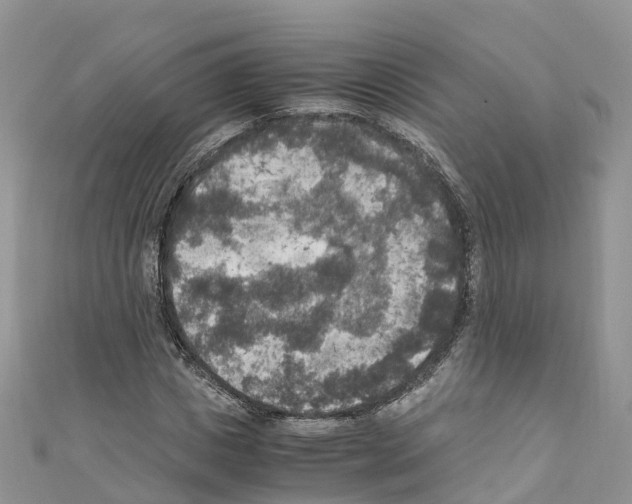 X0000110710825200907241144