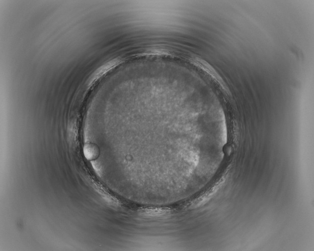 X0000110710826200907241144