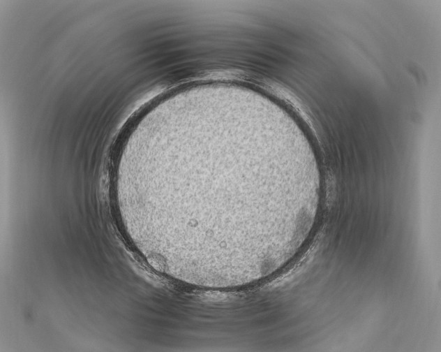 X0000110710827200907241144