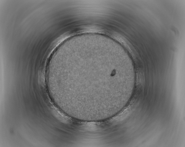 X0000110710828200907241144