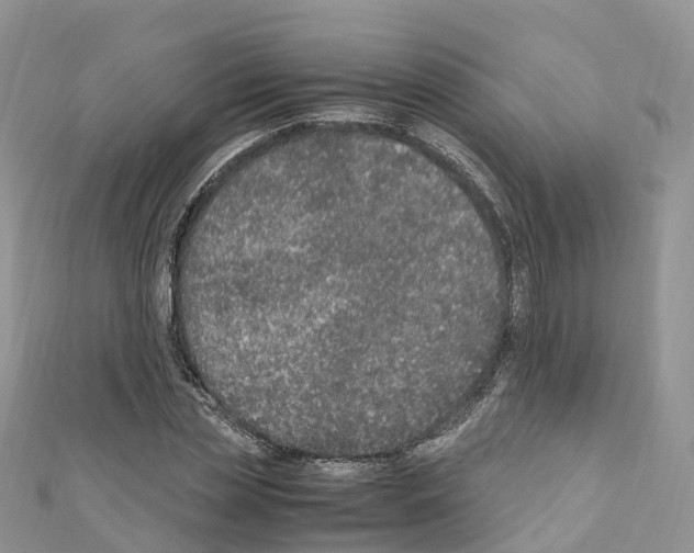 X0000110710829200907241144