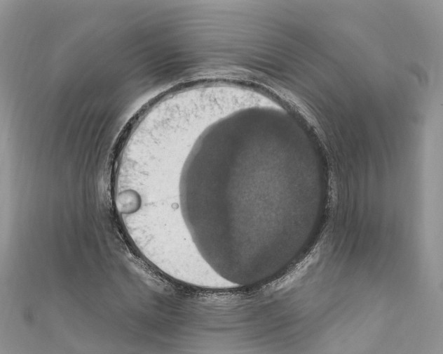 X0000110710830200907241144