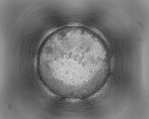 X0000110710831200907241144