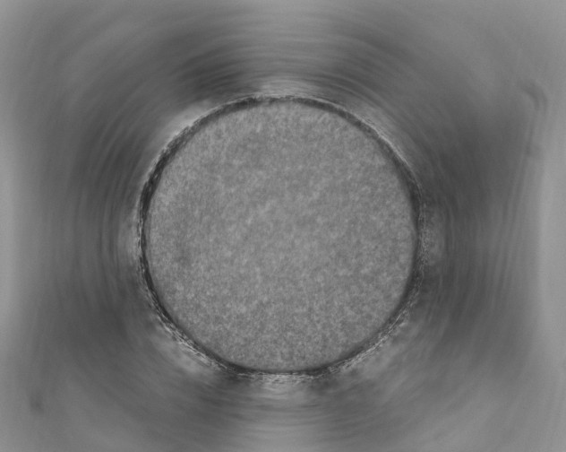 X0000110710832200907241144