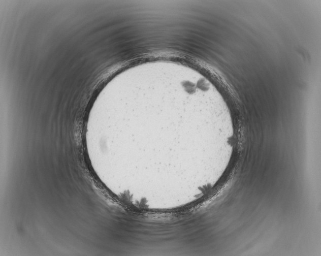 X0000110710833200907241144