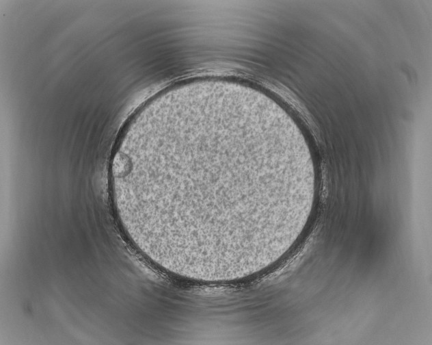X0000110710834200907241144