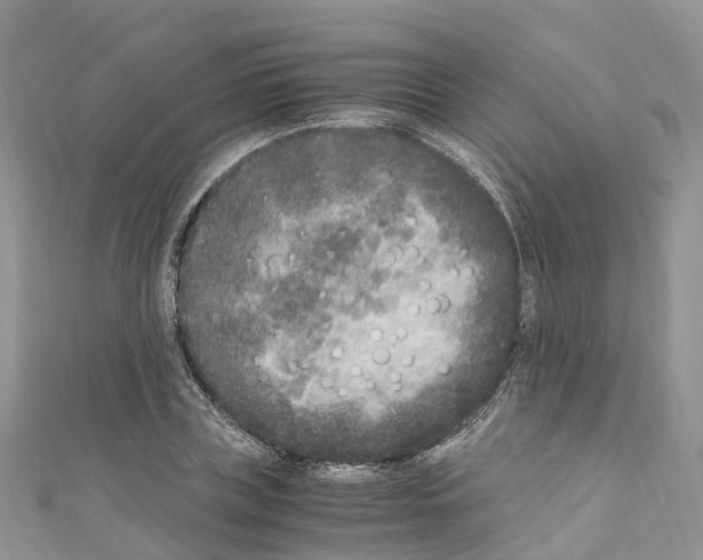X0000110710835200907241144