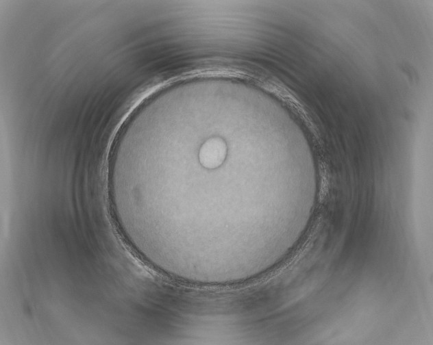 X0000110710836200907241144