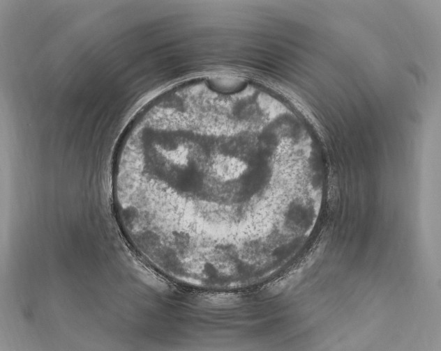 X0000110710837200907241144