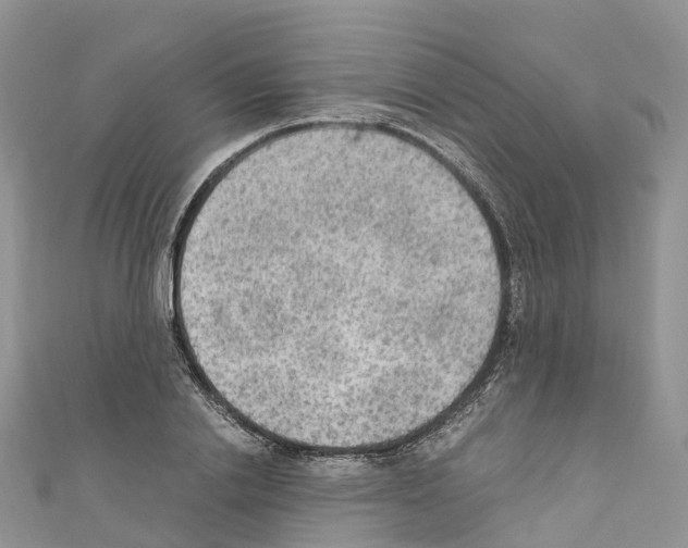 X0000110710838200907241144