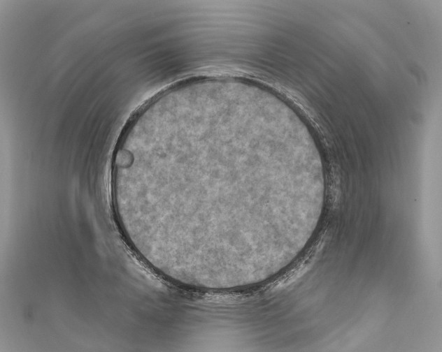 X0000110710840200907241144
