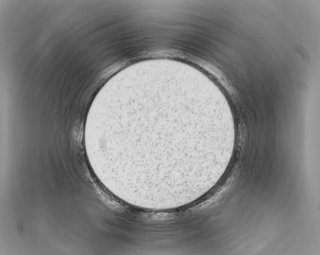 X0000110710841200907241144