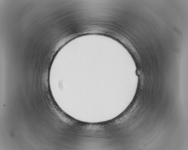 X0000110710842200907241144