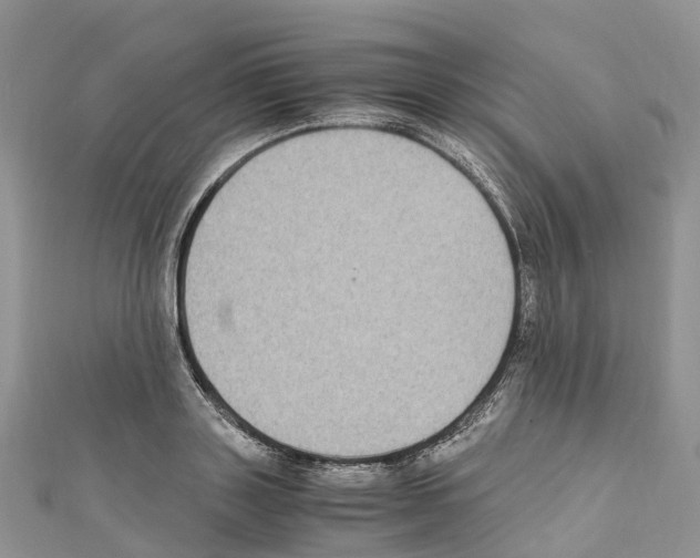X0000110710843200907241144