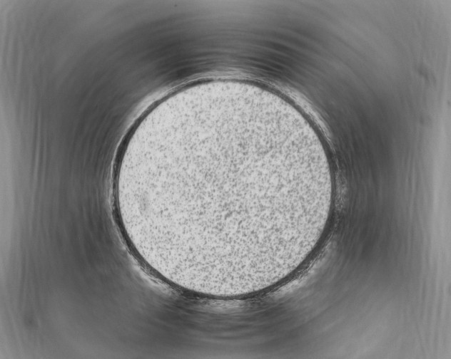 X0000110710845200907241144