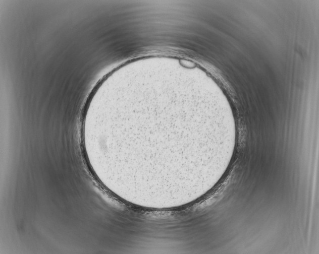 X0000110710846200907241144