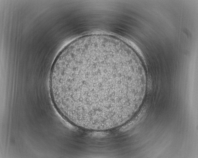 X0000110710847200907241144