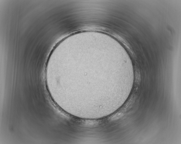 X0000110710848200907241144