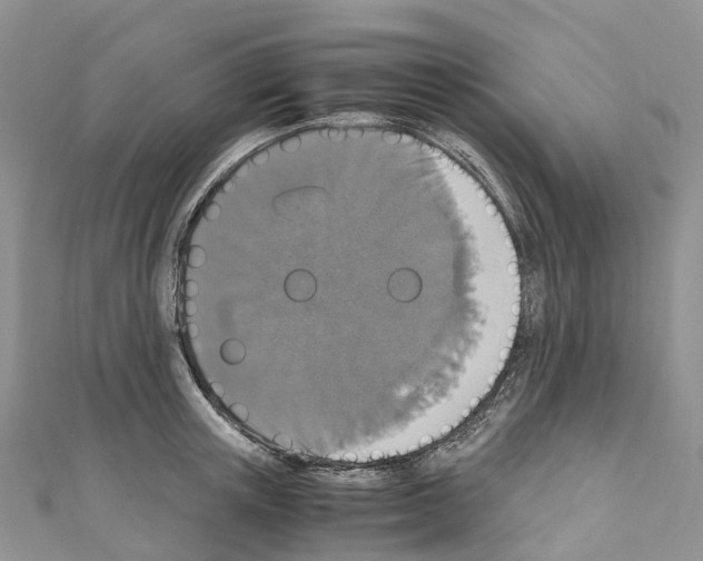 X0000110710851200907241144