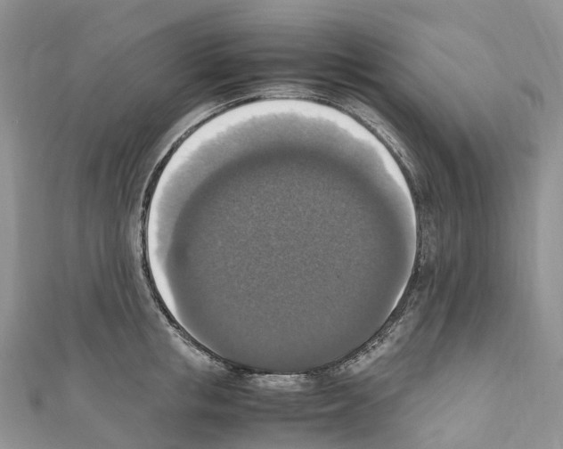 X0000110710853200907241144