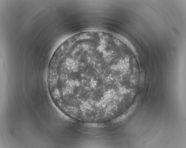 X0000110710855200907241144