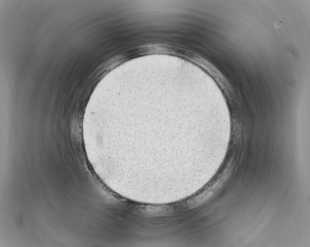 X0000110710857200907241144