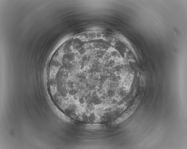 X0000110710859200907241144