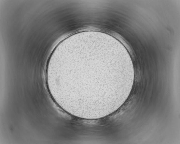 X0000110710861200907241144
